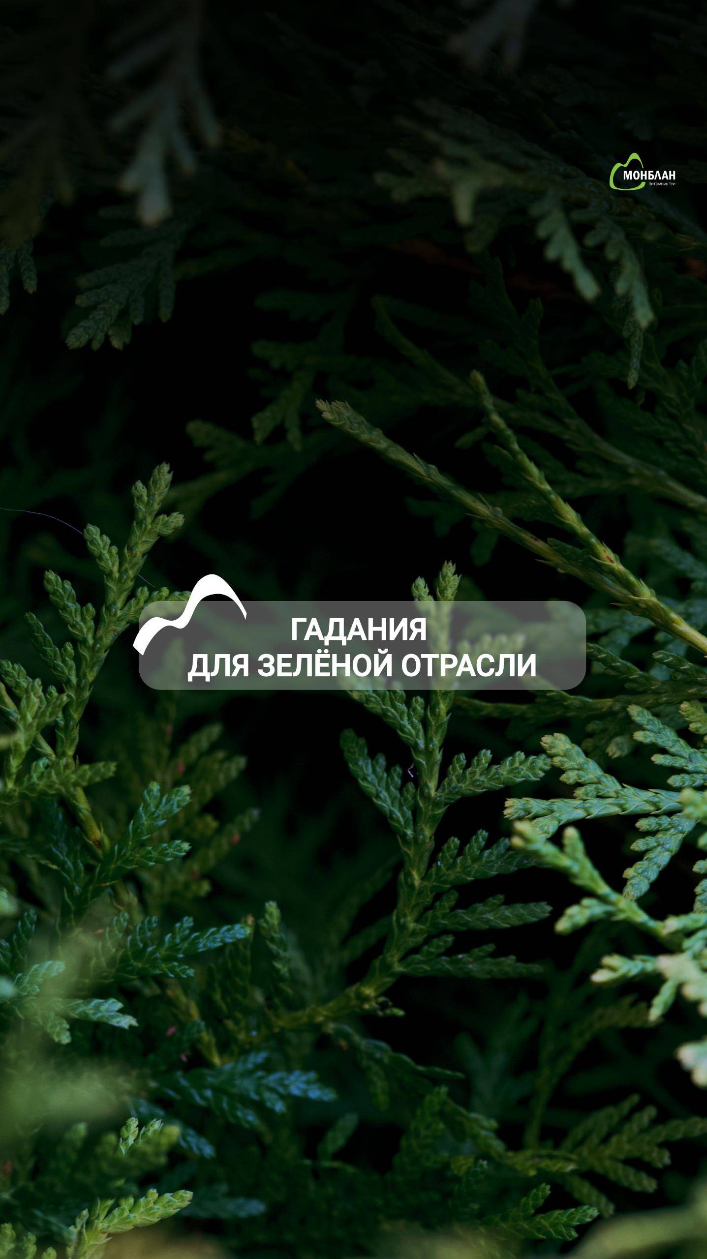 Гадания для зелёной отрасли 🔮