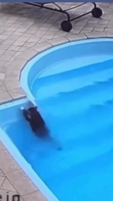 Напрягся- расслабился