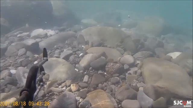 22ffaf26a606cdd6cc35c37796ead276