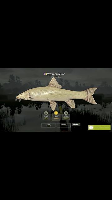 Снасти - Https://t.me/RR4Chicken/ #русскаярыбалка4 #рыбалканафидер #рыбалка #rr4