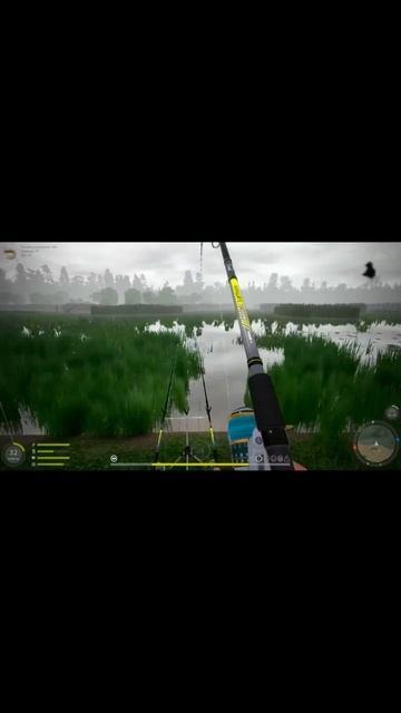 Telegram - для советов и уловистых мест: Https://t.me/RR4Chicken  #РусскаяРыбалка4 #Улов #Советы