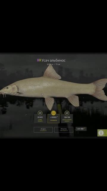 Снасти - Https://t.me/RR4Chicken/ #русскаярыбалка4 #рыбалканафидер #рыбалка #rr4