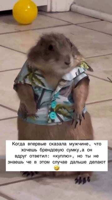 И что мне делаааать ???😁