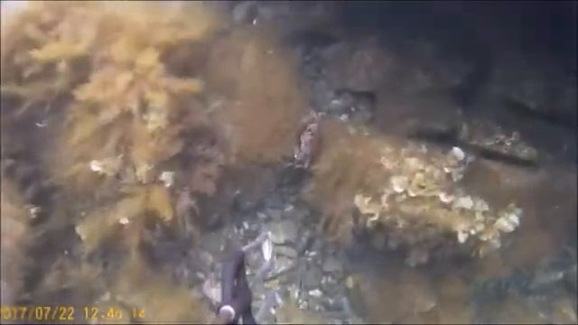 Cda65e590a1ec37853e55a9049a56112