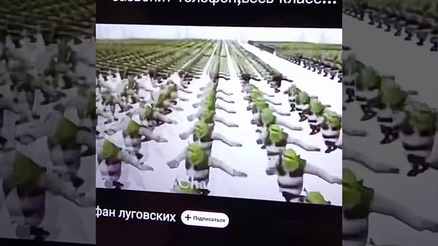 кринж