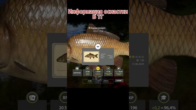 Раздача трофеев / Медное  #русскаярыбалка4 #fishing #rr4