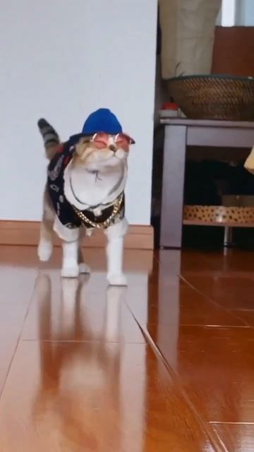 деловая фифа