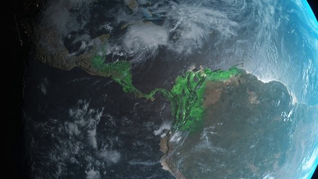 Дикая Латинская Дождевой лес