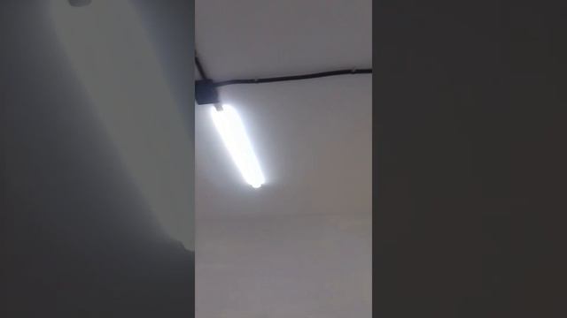 Екб, Рощинская, 31