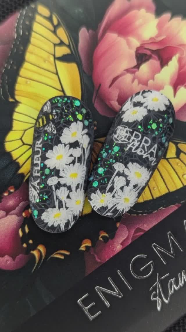 ромашки на черном фоне пластина энигма