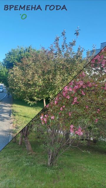 Времена года