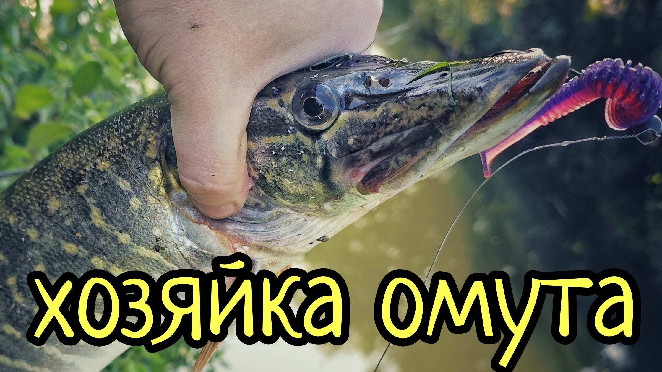 ЗУБАСТАЯ КОРОЛЕВА ОМУТА !!! ЩУКА НА ДЖИГ, В МАЛОЙ РЕЧКЕ !!!