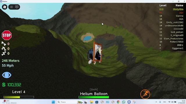 сломонные кости 4