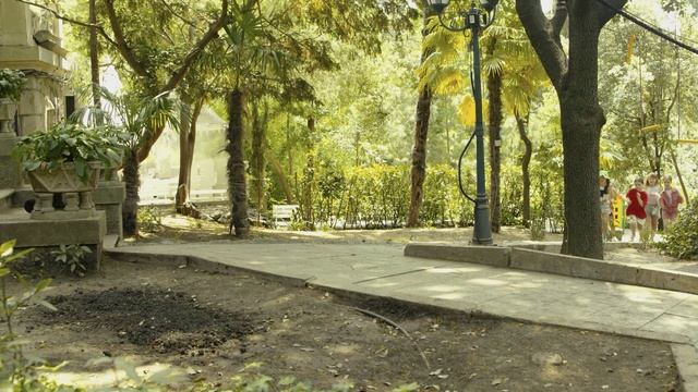 98adcc69f5a77e0c5cfde9e17cc309ab