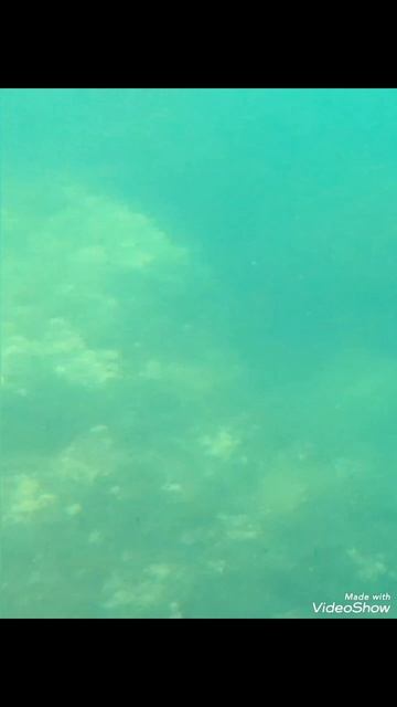 крым. подводный привет!