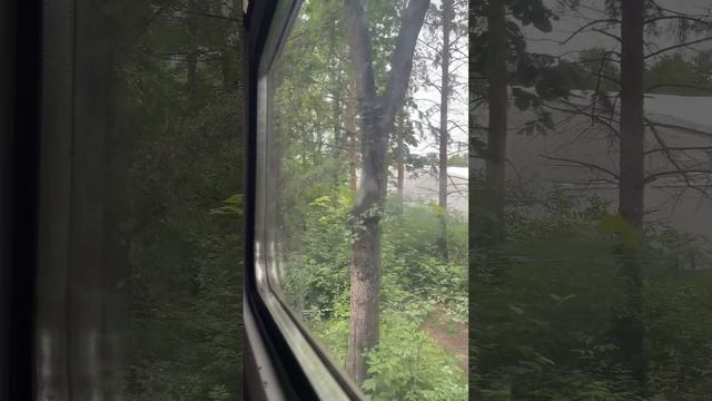 🚆 Amazing Train Ride!!!!  🌍 | One World One Chat With Kavidi.......😊😊
