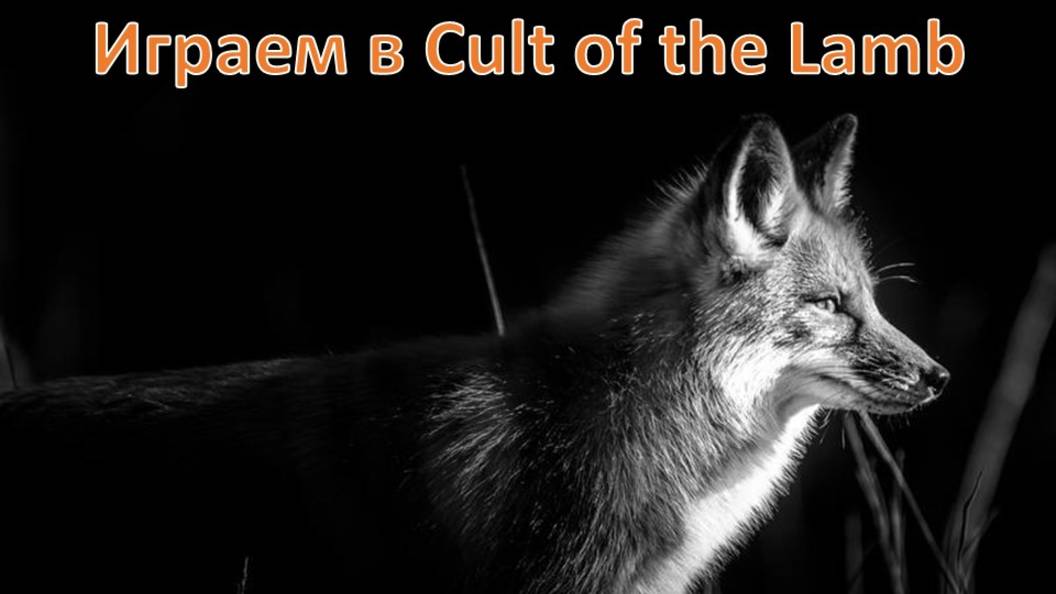 Играем в Cult Of The Lamb, доходим до Лешего