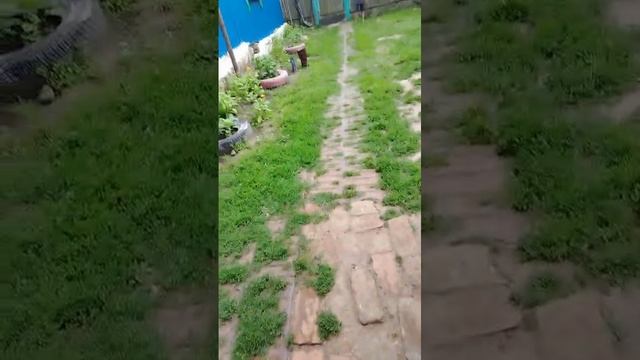 ЗАПУТАННОЕ ВИДЕО