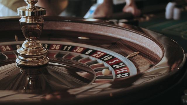 Шоурилл Горизонтальный 2025