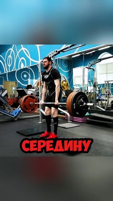 МИТА ПРЕДЛОЖИЛА СДЕЛАТЬ ВЫБОР