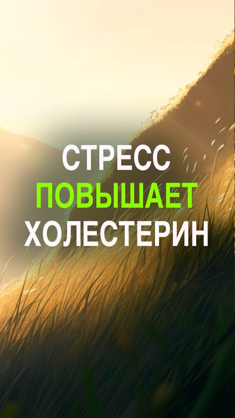Стресс поднимает холестерин — не только еда виновата