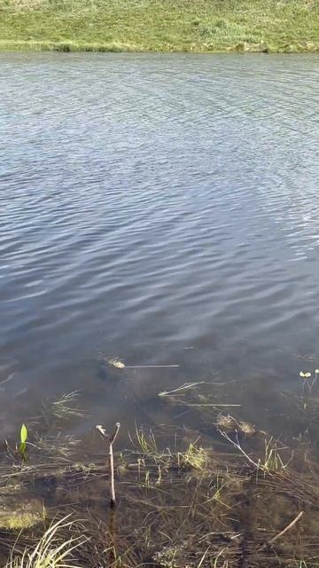 F16410ed85ebd6a71de4faf274549a77