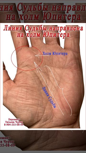 Линия Сатурна. Татьяна Чурон