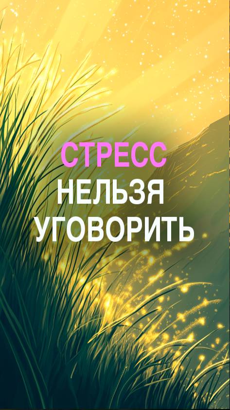 Стресс нельзя уговорить — с ним надо работать телом