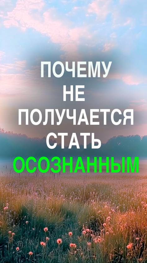 Почему не получается быть осознанным — дело не в тебе