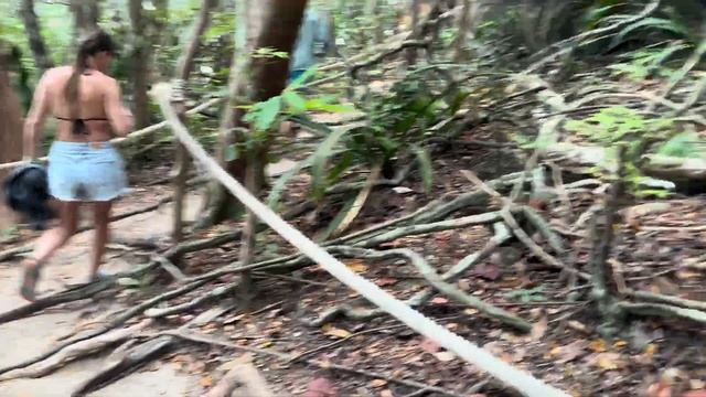 52a5a5254585a9cd3853601056456dcb