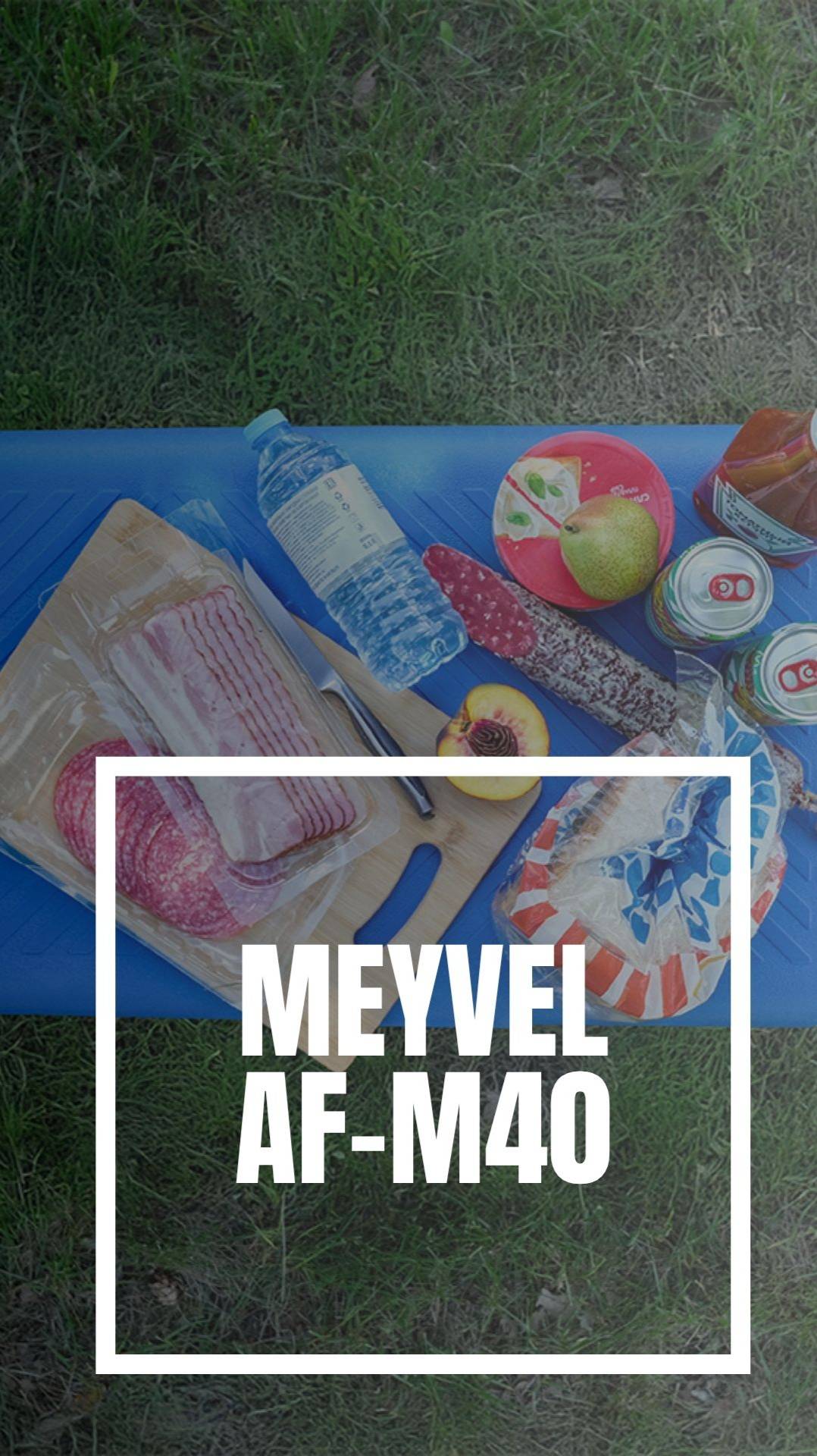 Автохолодильник Meyvel AF-M40