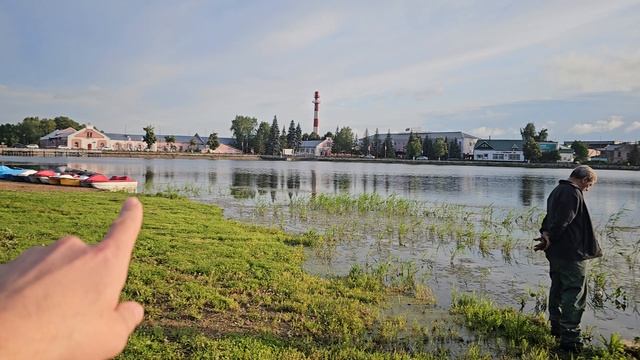 Запустили раков в городской Пруд.