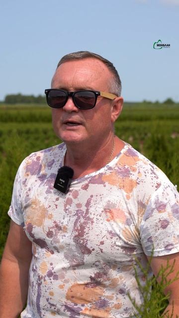 Если на туе появилась паутинка — это ещё не диагноз.