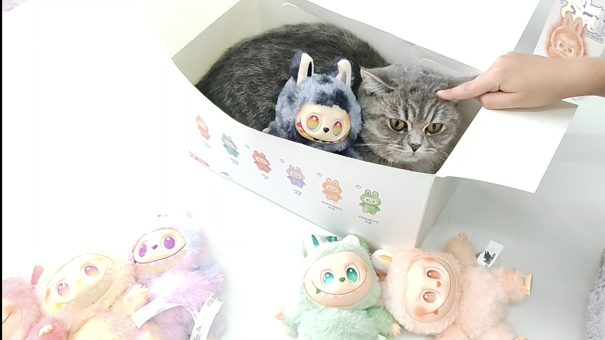 Открываем БОЛЬШУЮ УПАКОВКУ  ЛАБУБУ! ВСЯ КОЛЛЕКЦИЯ Big Into Energy!