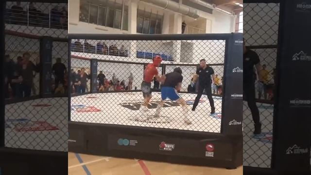 Бойцы Алмаз на турнире по ММА «Стальной Лев».