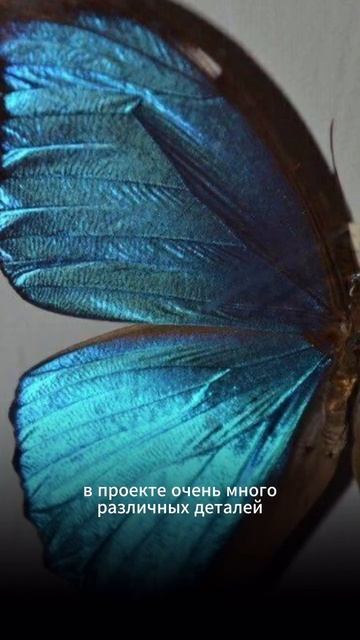 Реализация нашего проекта 