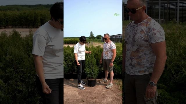 Контейнер — контейнеру рознь!