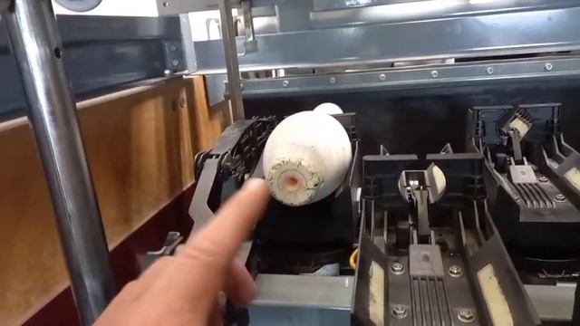 Брансвик уровень обнаружения кегель.