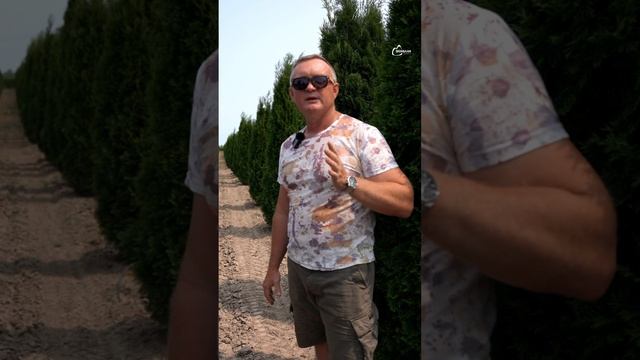 Июль — экзамен на прочность