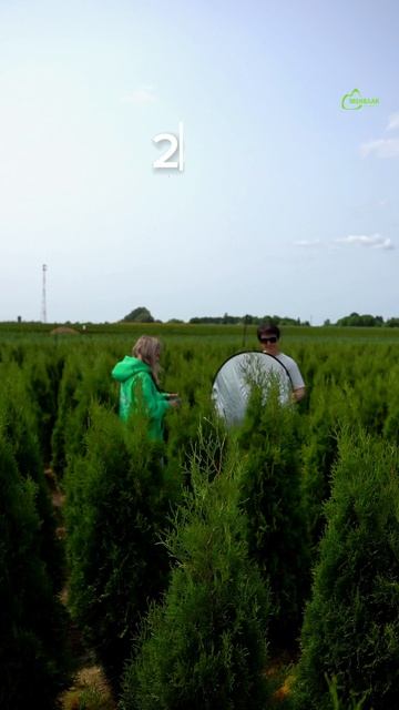 Да, иногда мы в роли настоящих проф фотографов, а наши туи — звезды голливуда, не меньше!