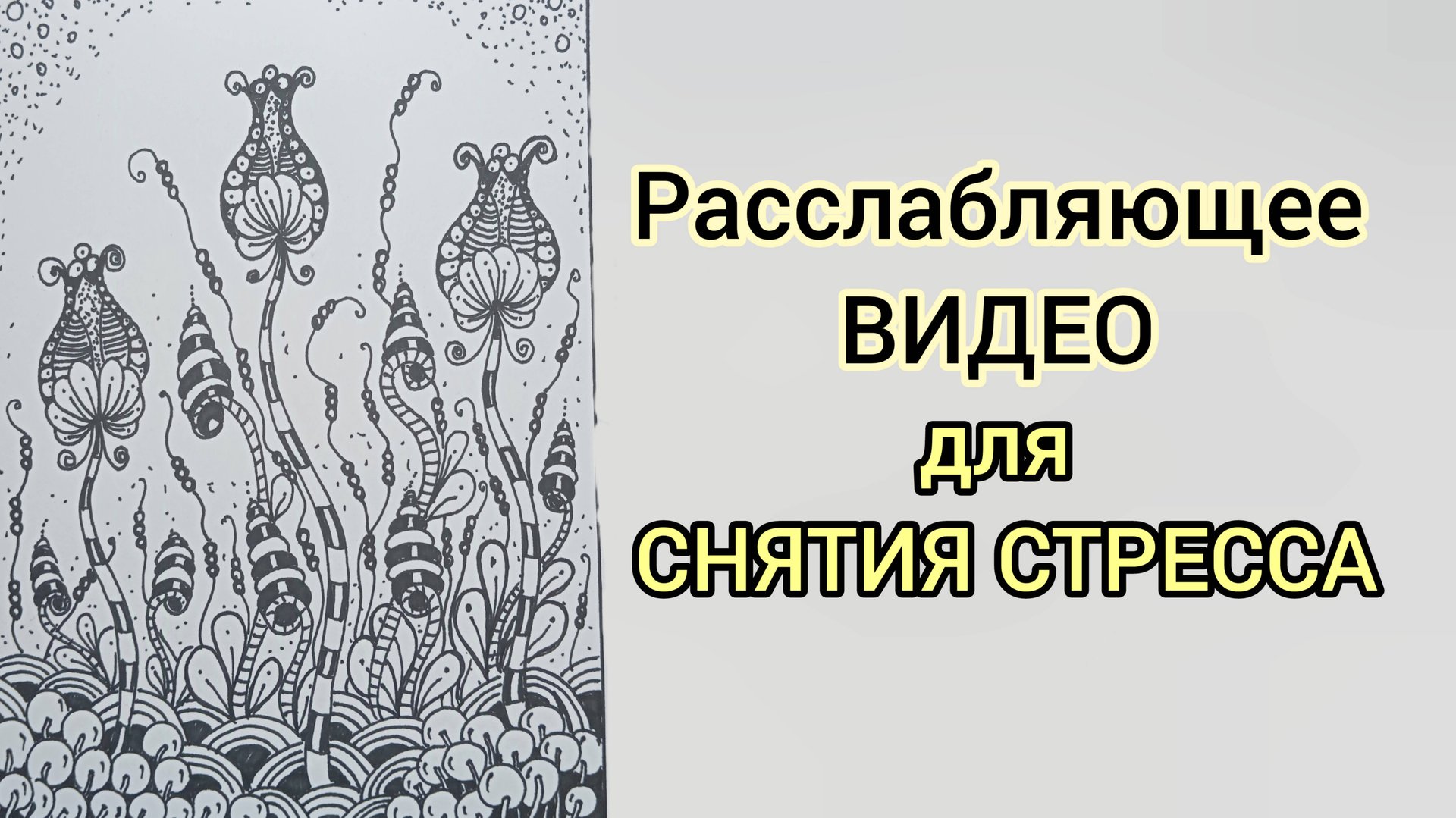 B6a9c80a55b79585a5004c082bfbf2a0