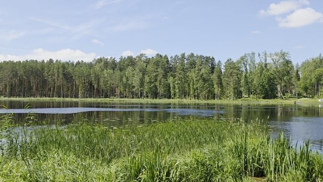 Вырица, пляж Шудибиль