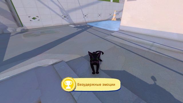 Aoh 3 + Little Kitty Big City