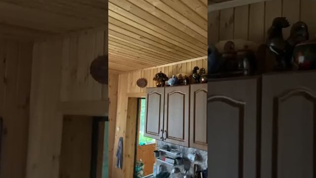 Попугай Ники и ЛИМА альпинисты