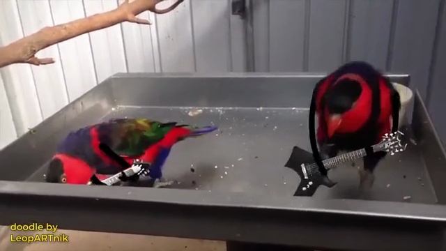 😆
