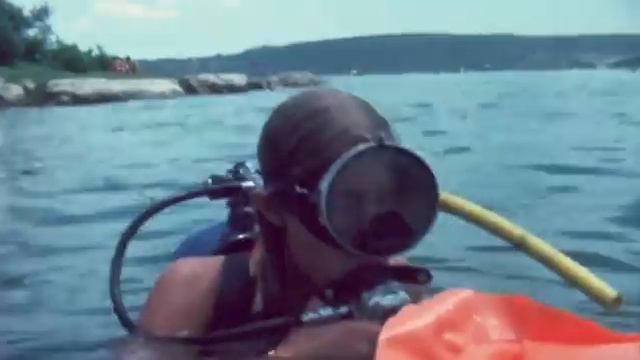 0fd7e186ce3497a8b6bb43e98a313db4