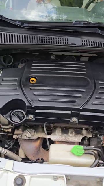 катеринаплюс.рф