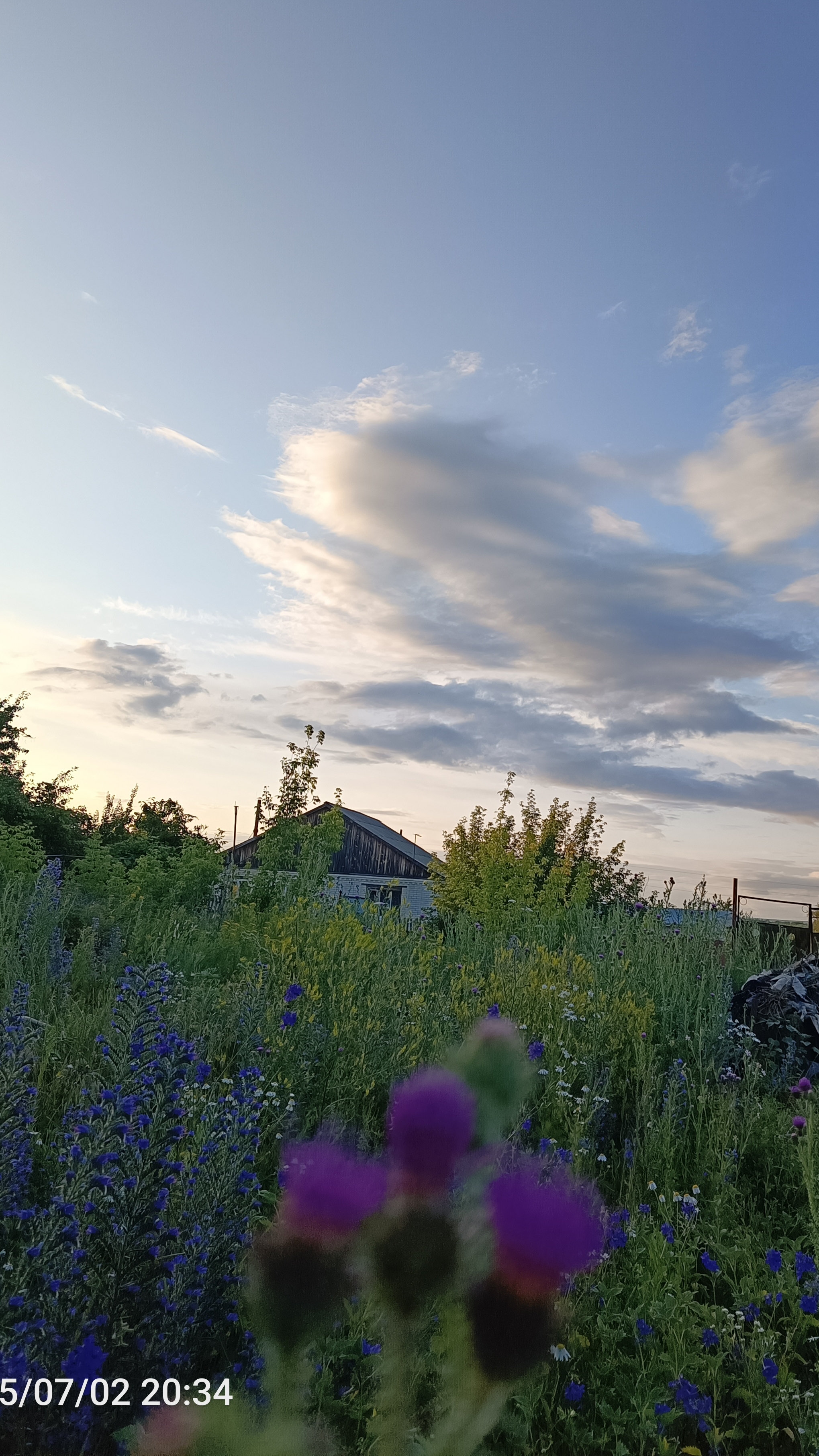 Вечерняя красота природы 😍