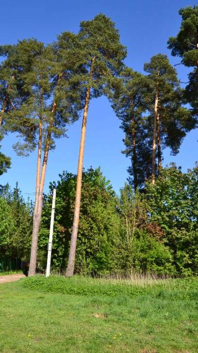 ИЖС. МО,г.Пушкино,мкр.Заветы Ильича,ул.Садовая,КП Secret Garden.6,3 сотки