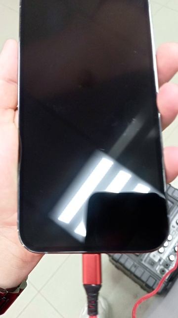 13 про Макс доп